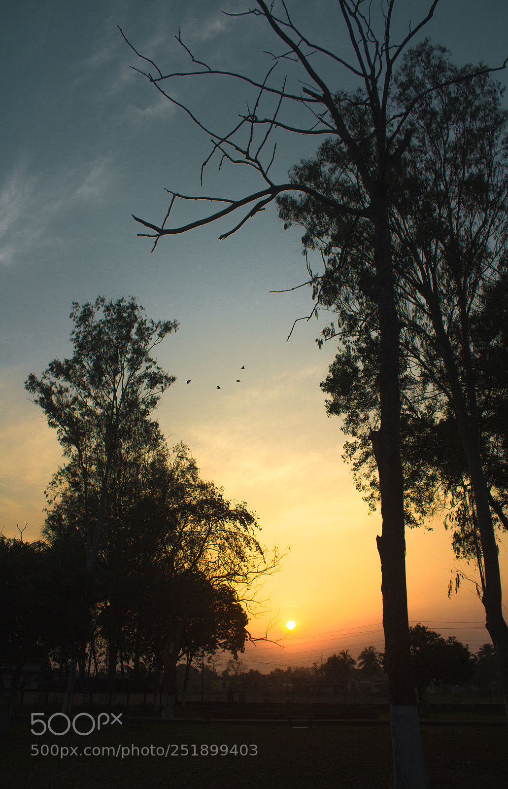 Canon EOS 1200D (EOS Rebel T5 / EOS Kiss X70 / EOS Hi) sample photo. Let's go home . photography