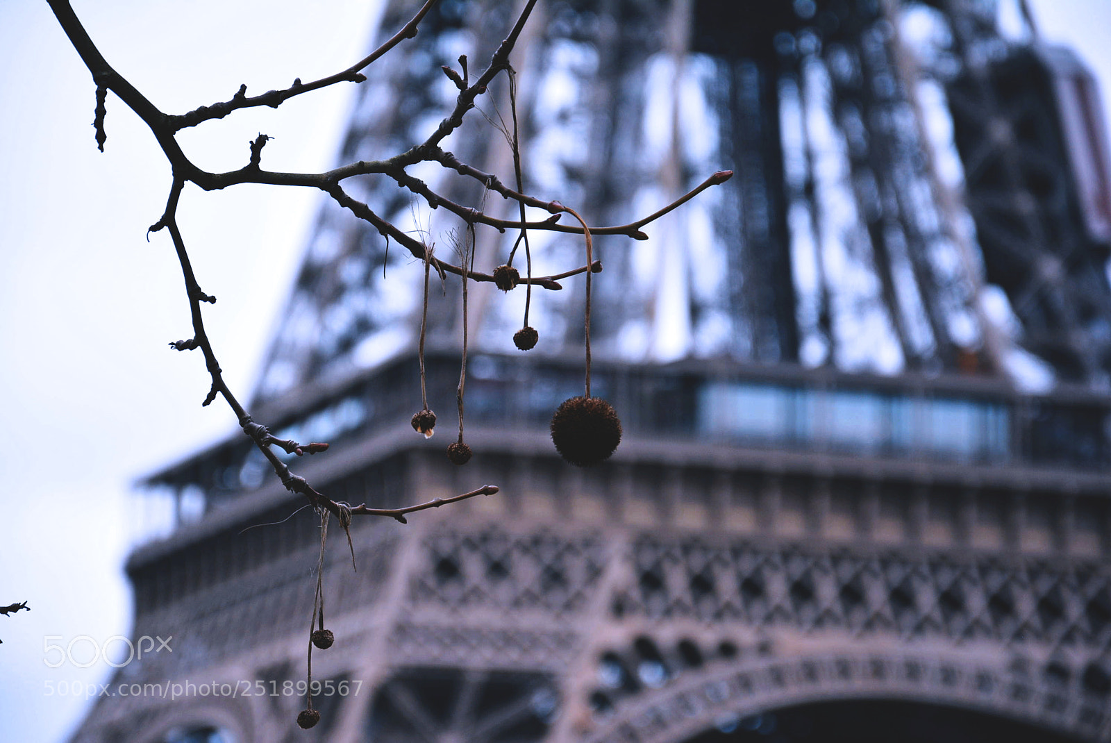 Nikon D5200 sample photo. Eiffel tower photography