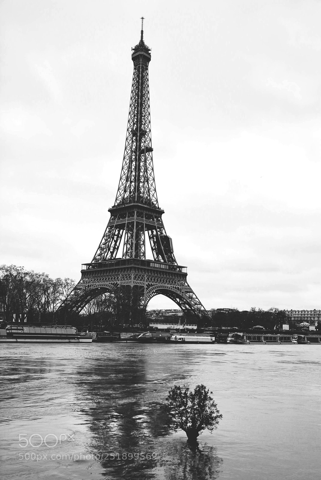 Nikon D5200 sample photo. Eiffel tower photography