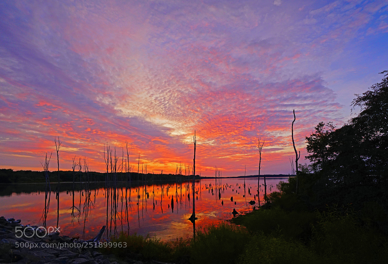 Sony a7R II sample photo. Color overload before dawn photography