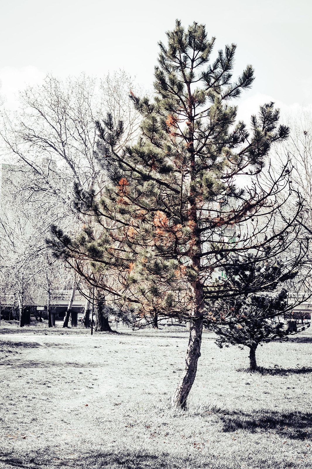 Canon EOS 70D sample photo. Untitled photography