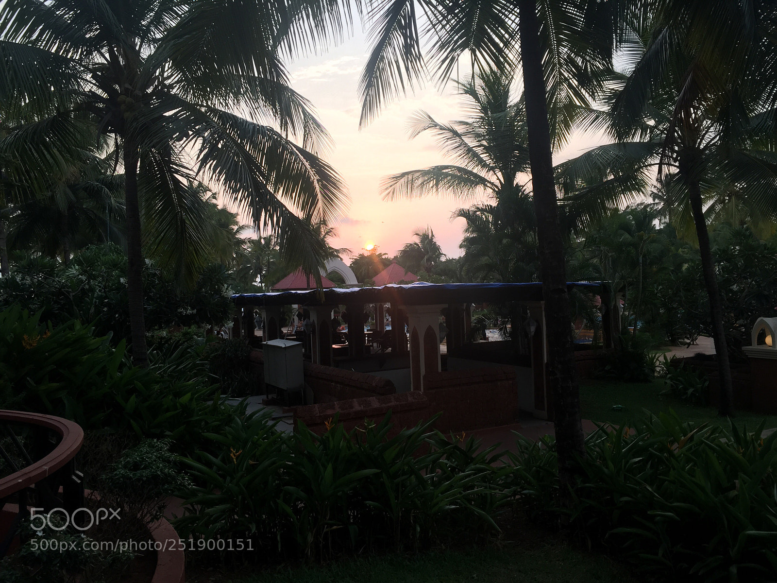 Apple iPhone 6 Plus sample photo. A goan sunset photography
