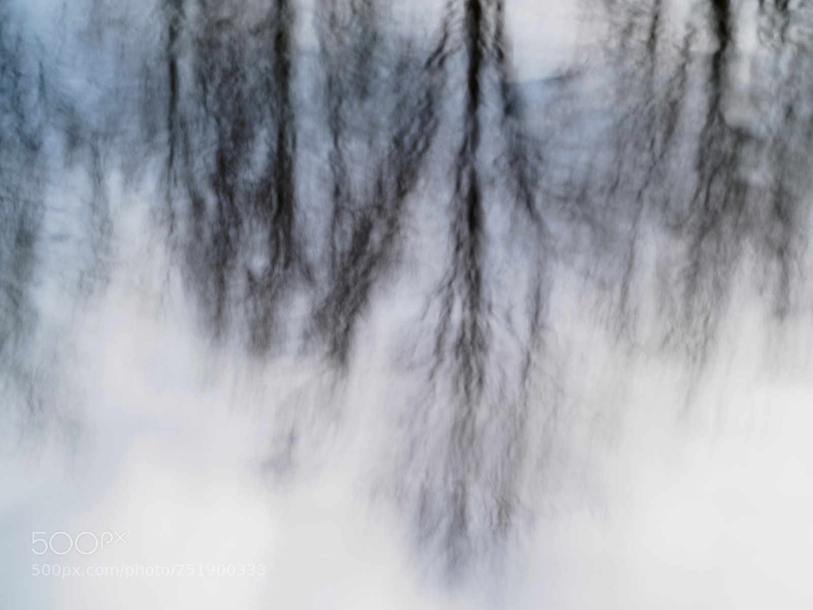 Olympus OM-D E-M5 II sample photo. Moving trees in water . . . photography