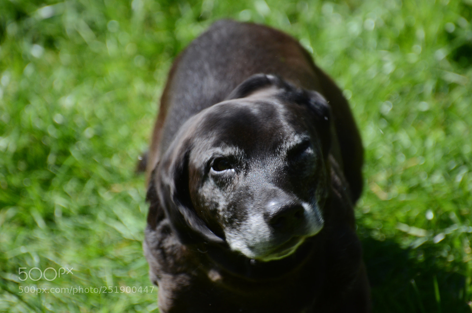 Nikon D7000 sample photo. Untitled photography