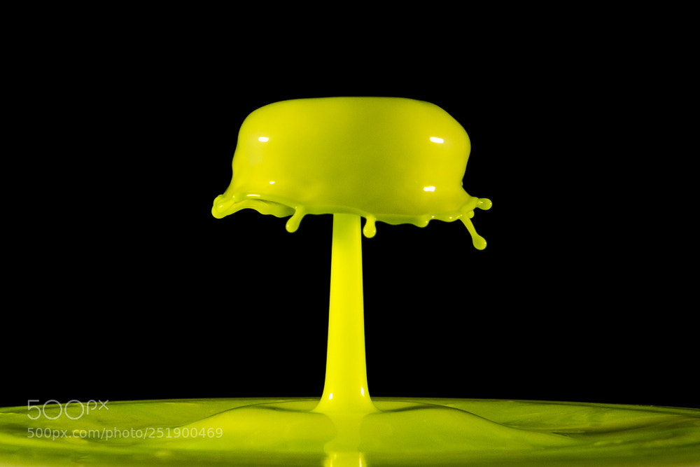 Nikon D500 sample photo. Splashart#5469 photography