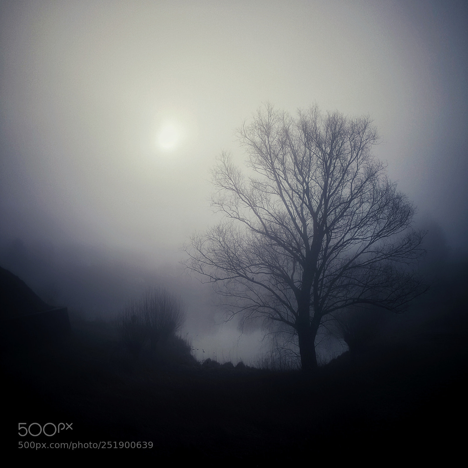 Samsung Galaxy S6 sample photo. • a misty morning • photography