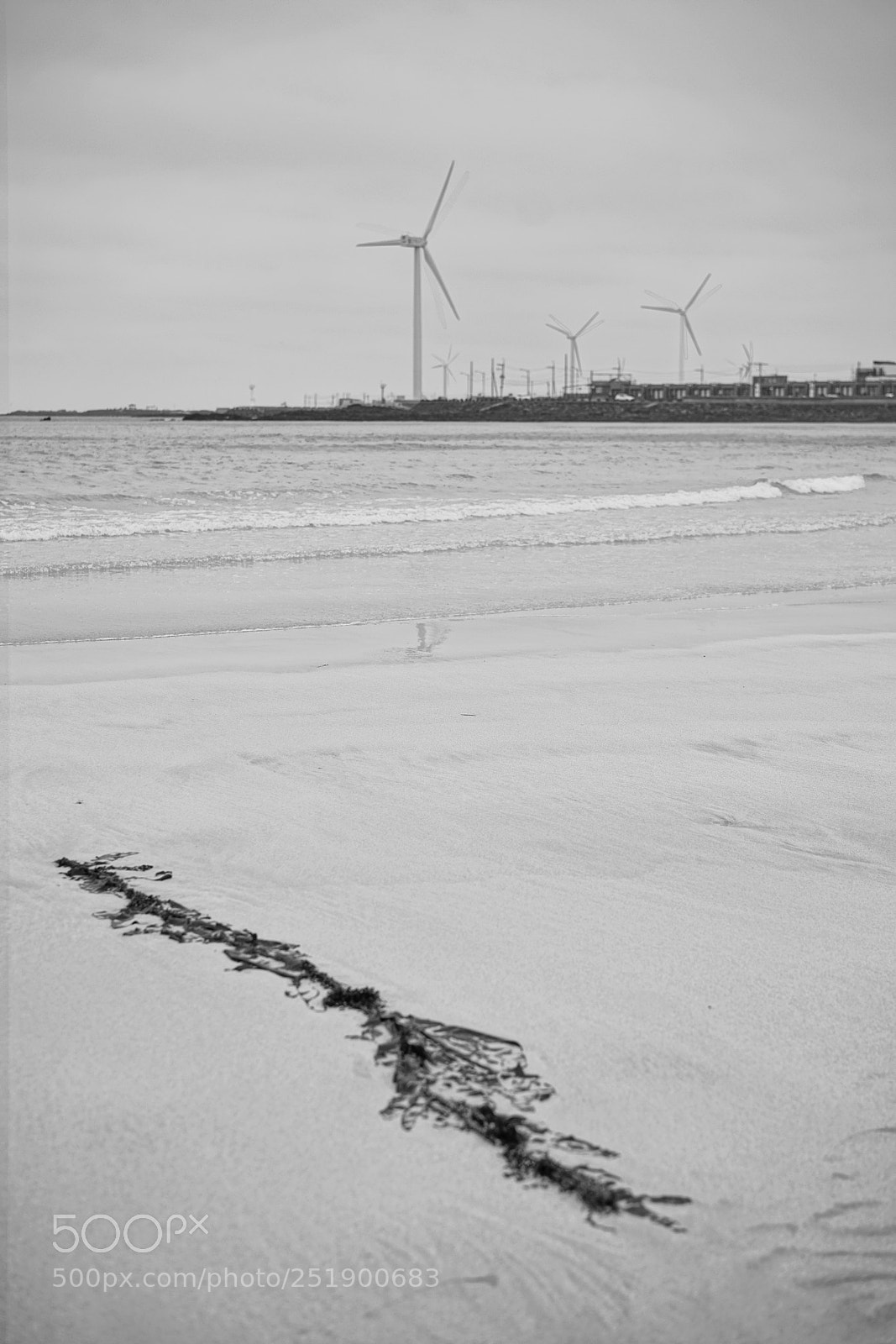 Sony a7R II sample photo. Scene photography