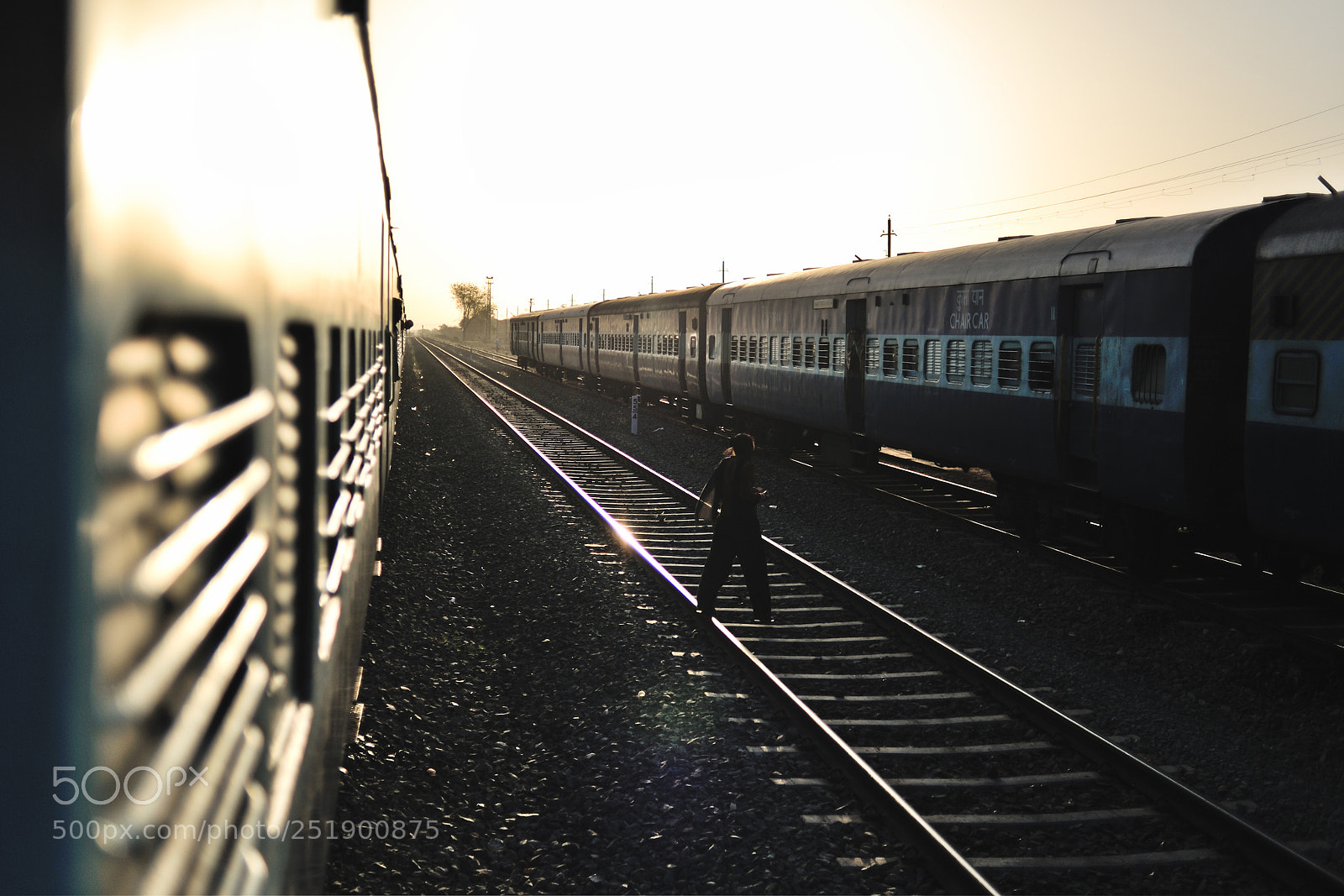 Nikon D700 sample photo. Rajastan photography