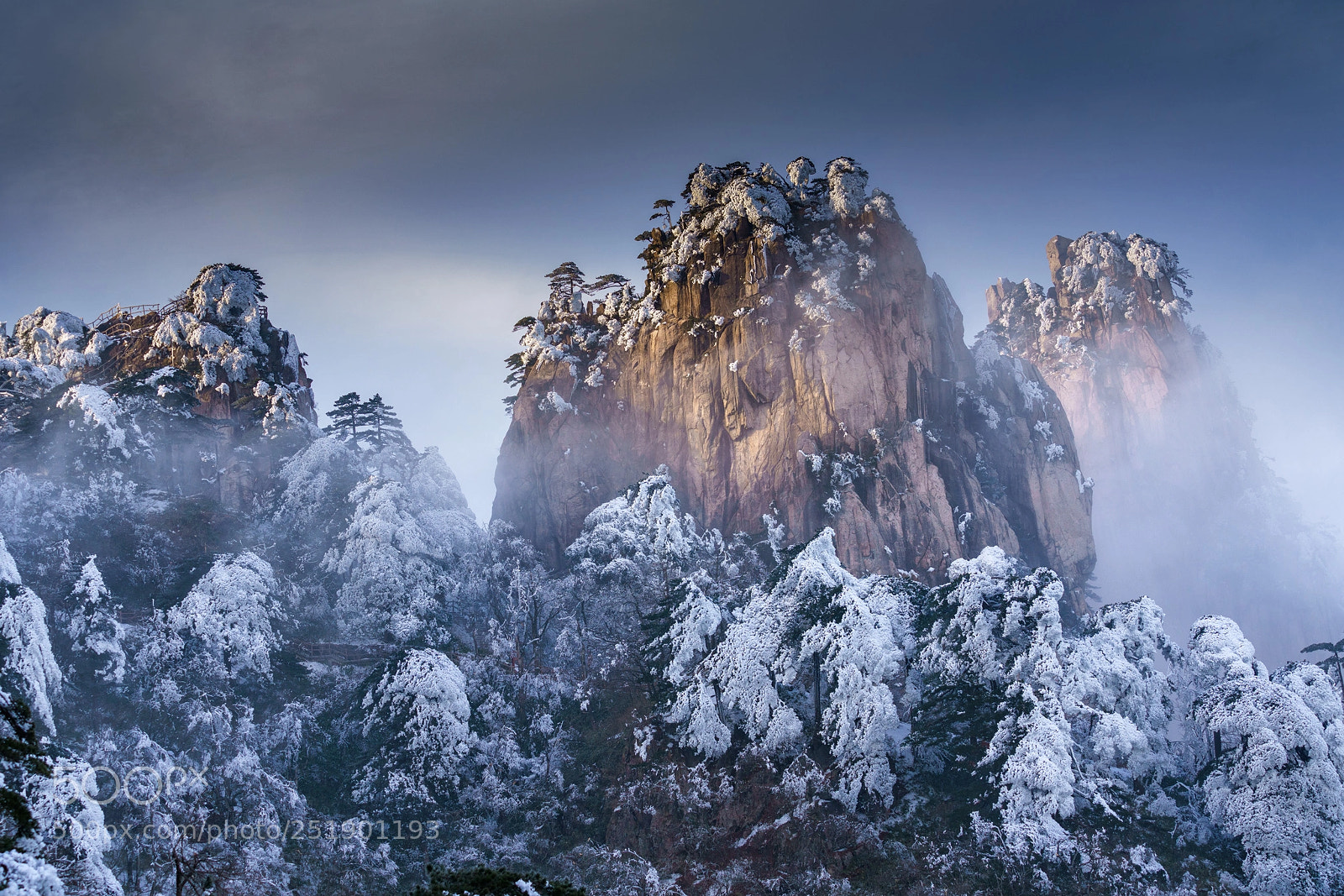 Sony a7R III sample photo. Last winter photography