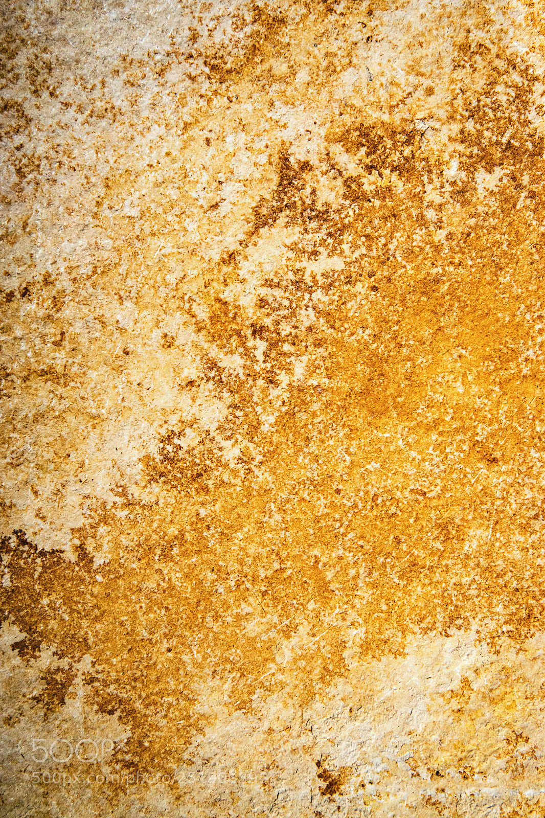 Nikon D5500 sample photo. Abstract orange prehistoric stone photography