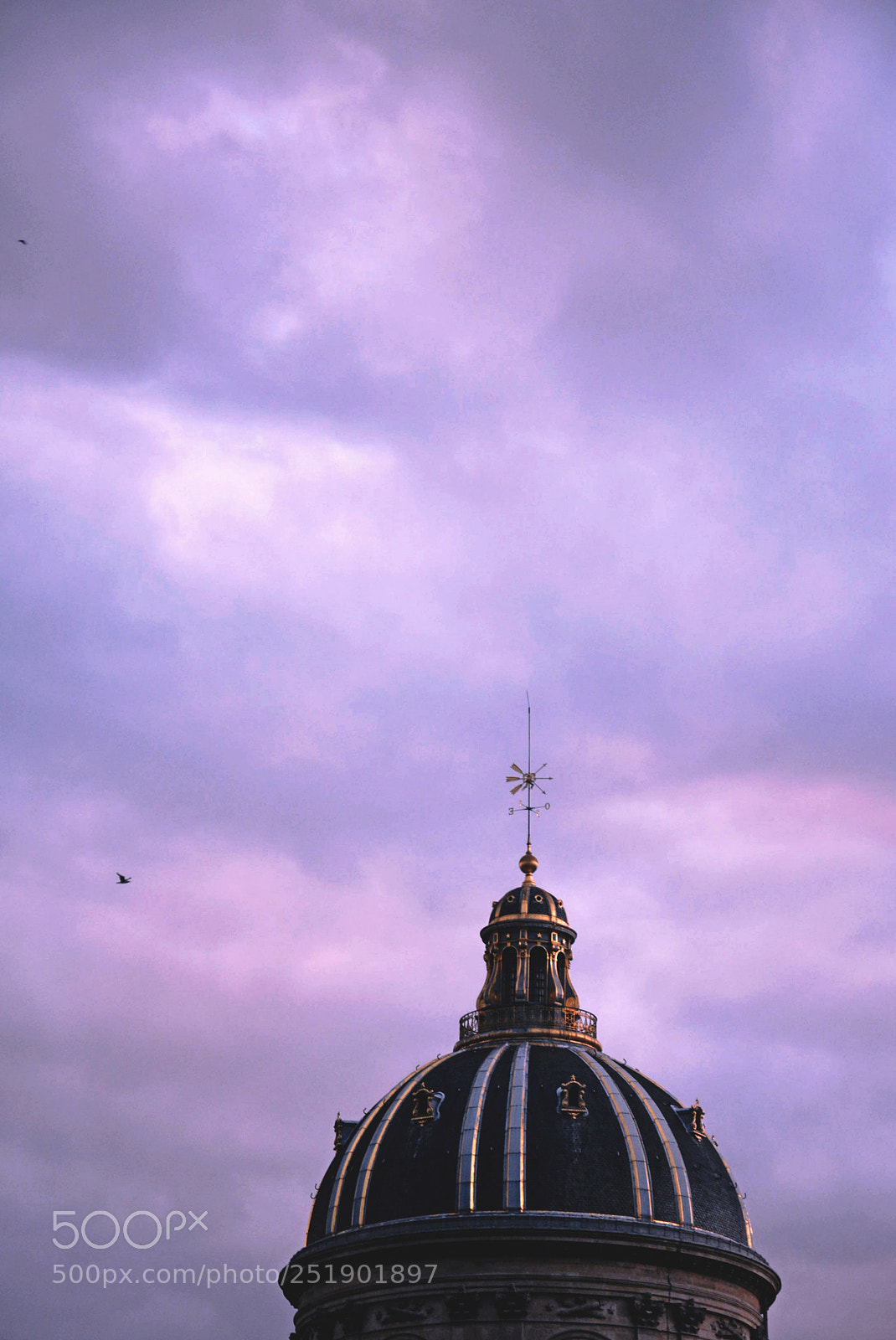 Nikon D5200 sample photo. Roof photography