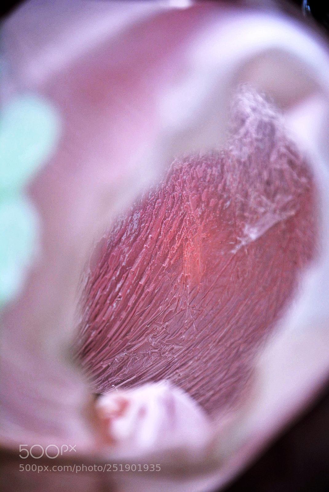 Nikon D5200 sample photo. Art photography