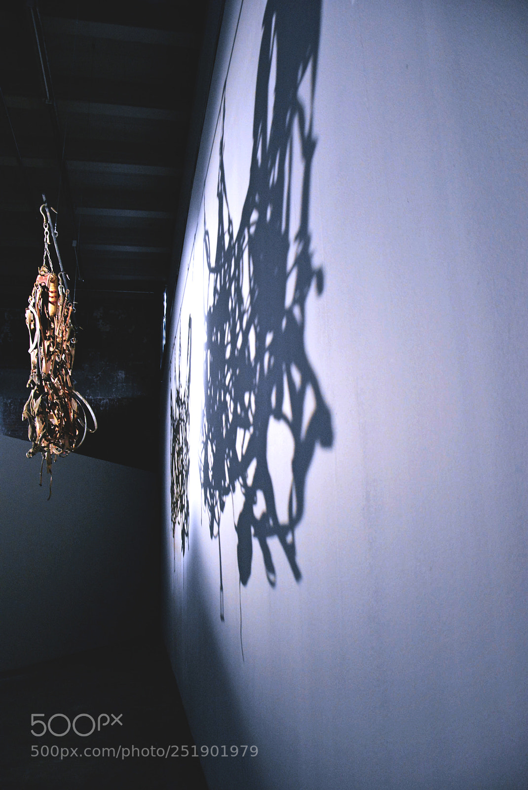 Nikon D5200 sample photo. Shadow photography