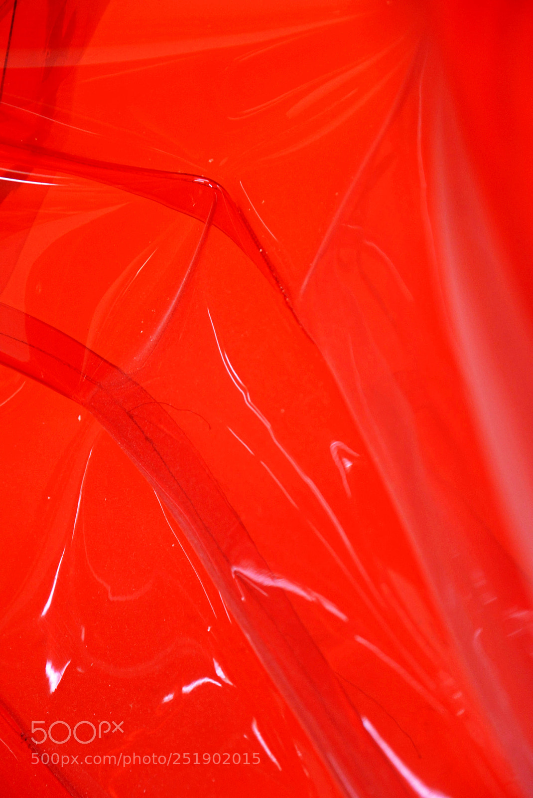 Nikon D5200 sample photo. Red photography