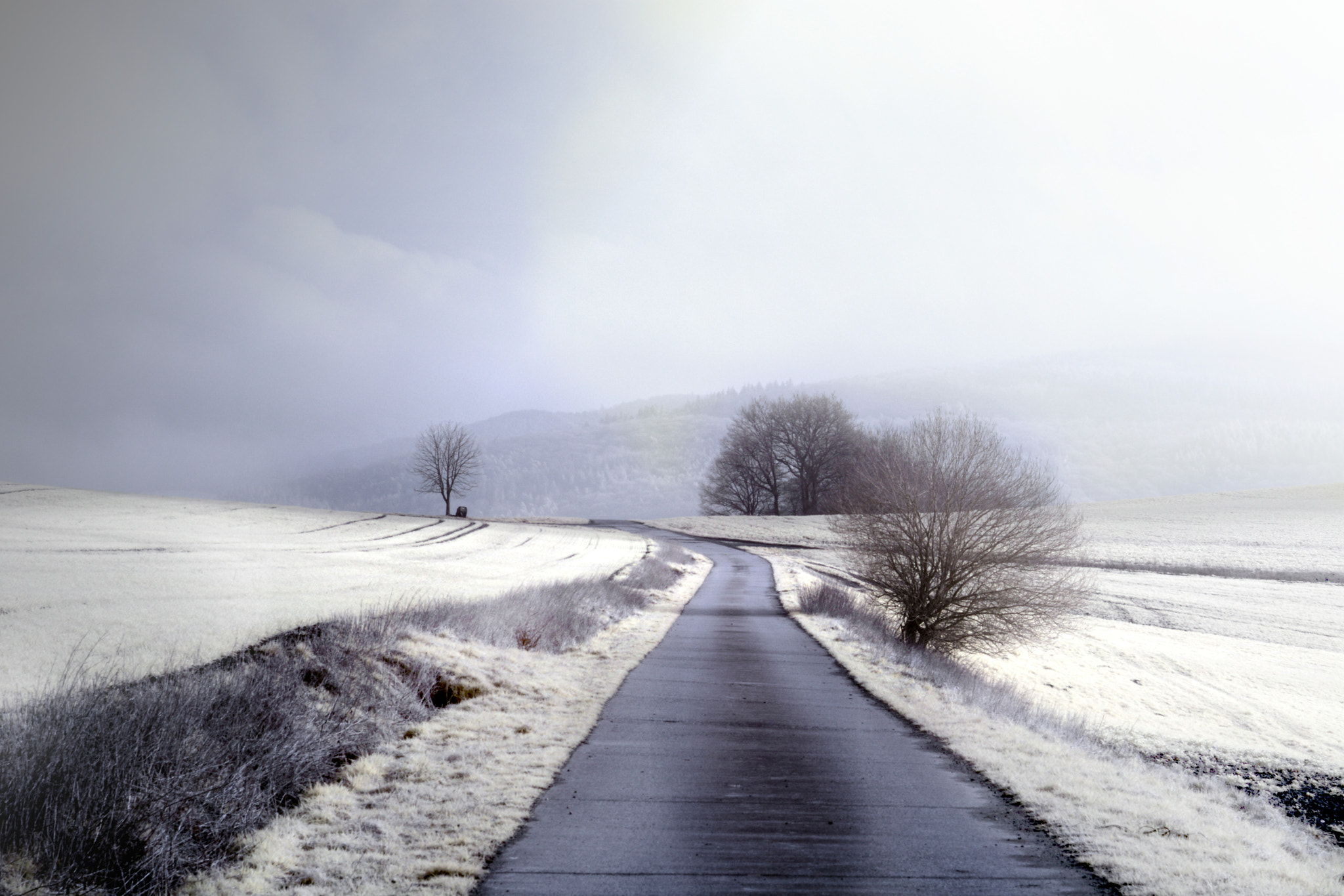 Nikon D7100 + Nikon AF-S Nikkor 50mm F1.8G sample photo. Ir path photography