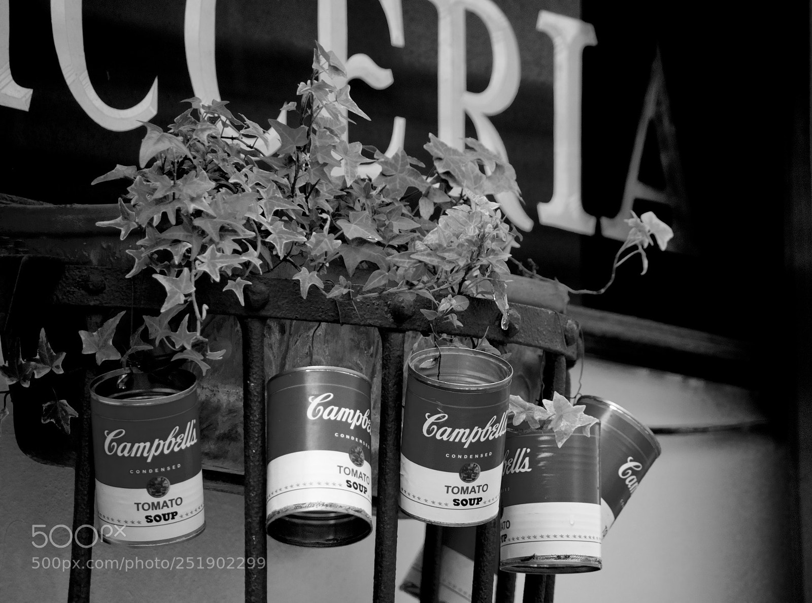 Pentax K-50 sample photo. Untitled photography