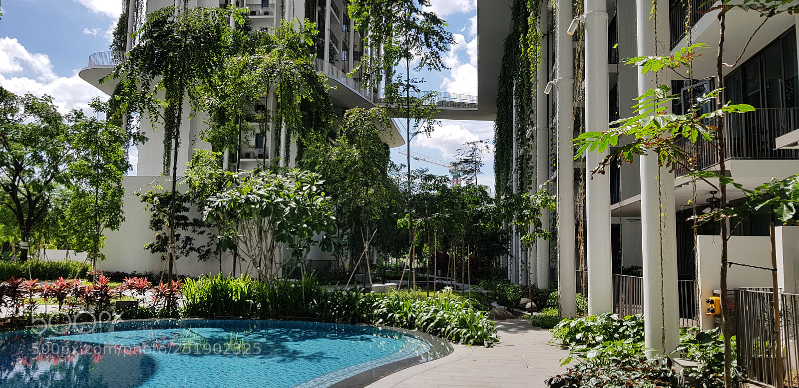 Samsung Galaxy S8+ sample photo. Shots of tembusu photography