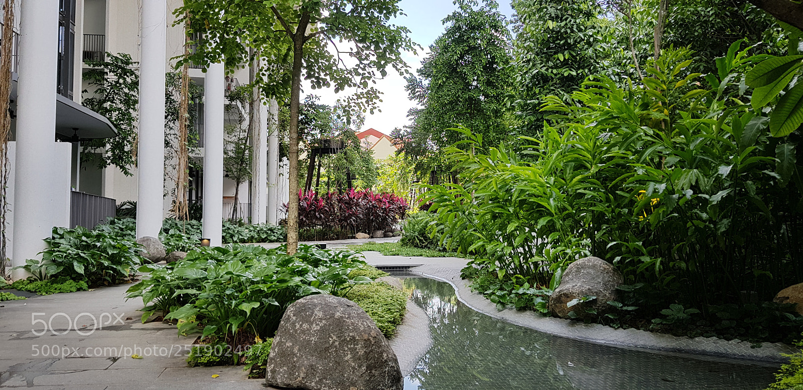 Samsung Galaxy S8+ sample photo. Gardens @ tembusu photography