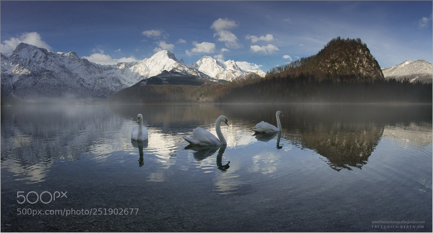 Pentax K-3 sample photo. Almsee mit schwan photography