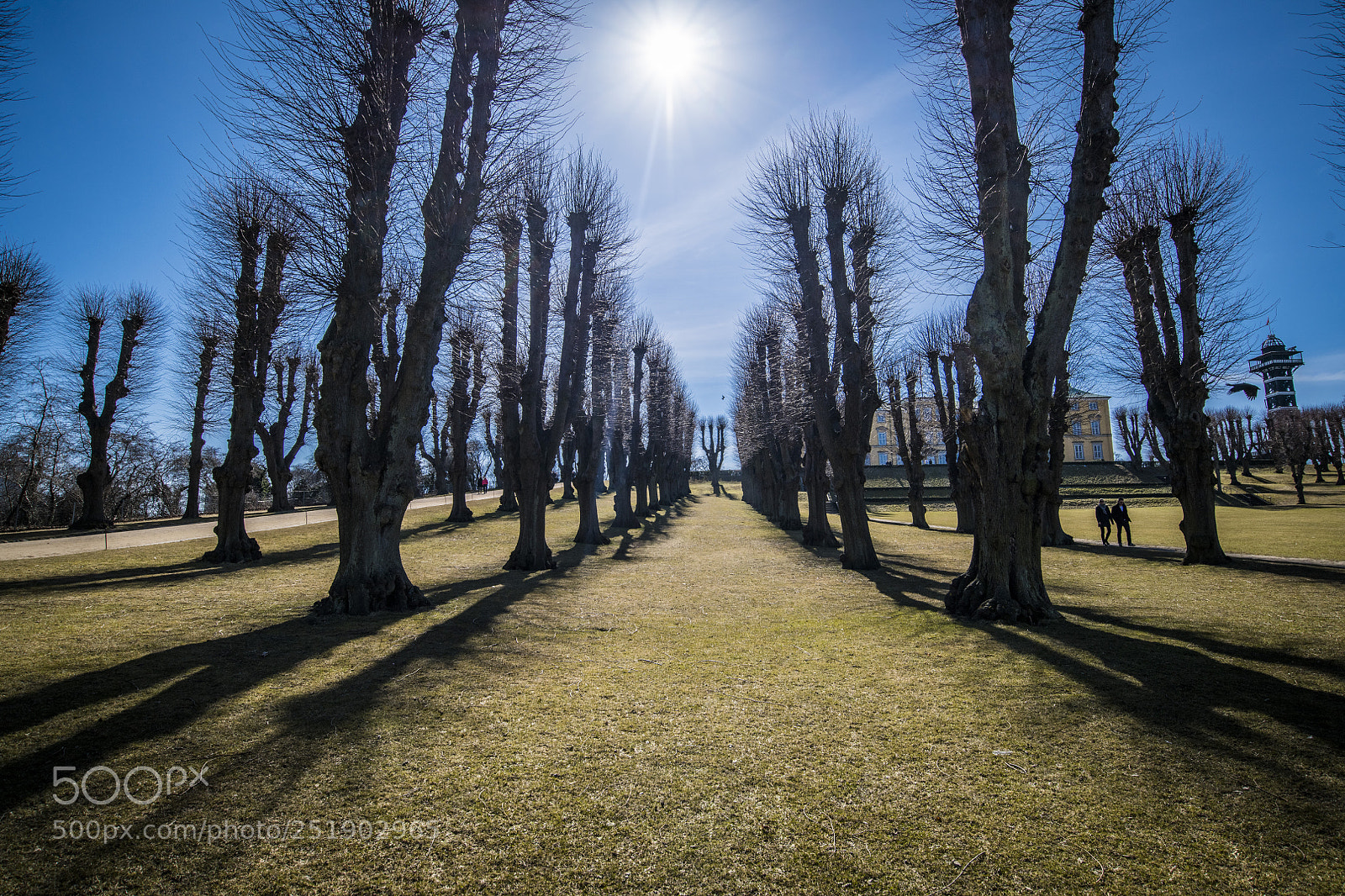 Nikon D850 sample photo. Frederiksberg_1 photography