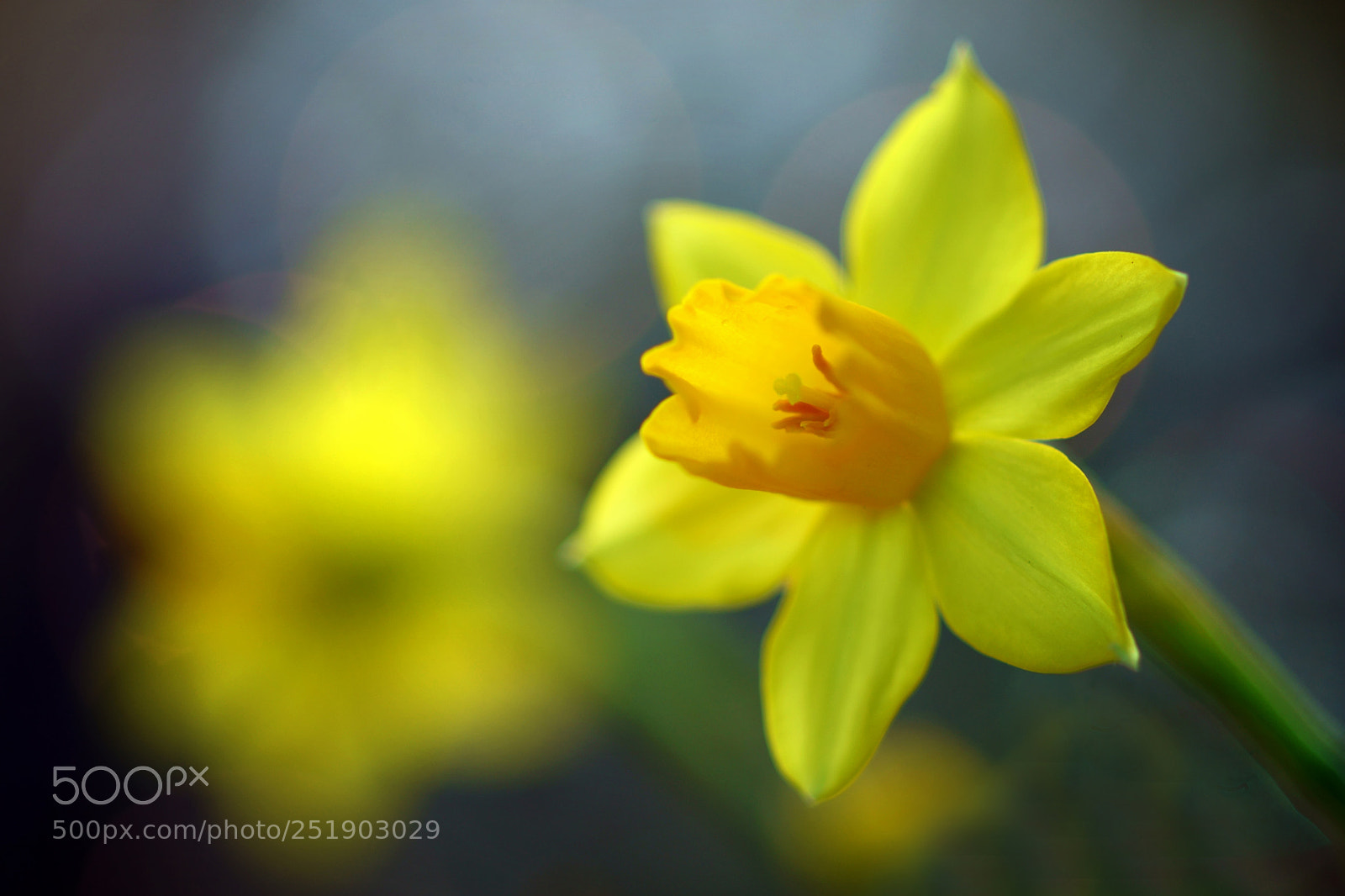Sony ILCA-77M2 sample photo. Sunny photography