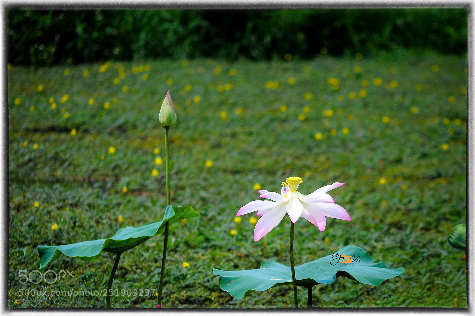 Nikon D90 sample photo. Dsc photography