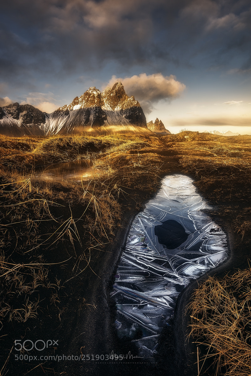 Nikon D810 sample photo. Golden sun at stokksnes photography