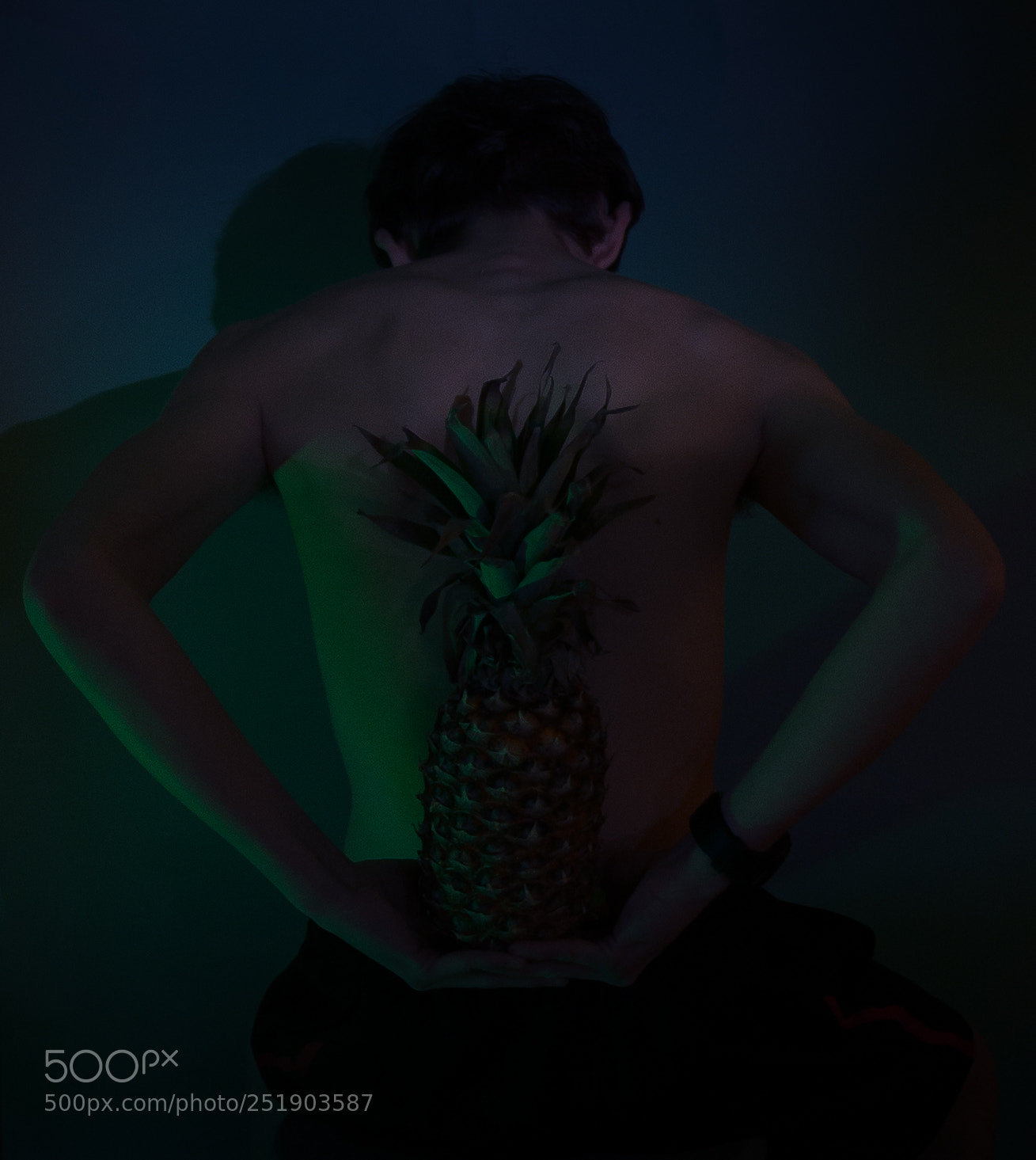 Nikon D610 sample photo. Mystic pineapple ii photography