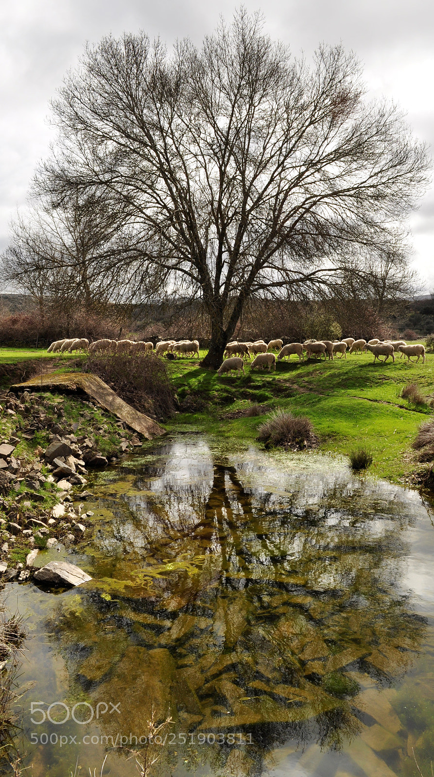 Nikon D5000 sample photo. The difference photography