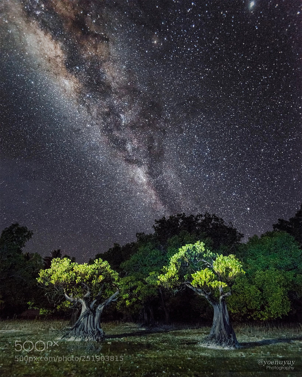 Nikon D810 sample photo. “milky way” photography