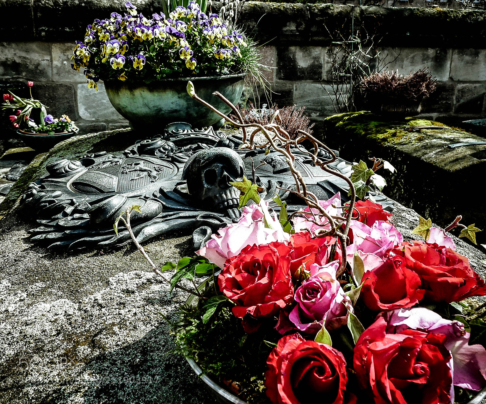 Panasonic Lumix DMC-FZ28 sample photo. Life and death photography