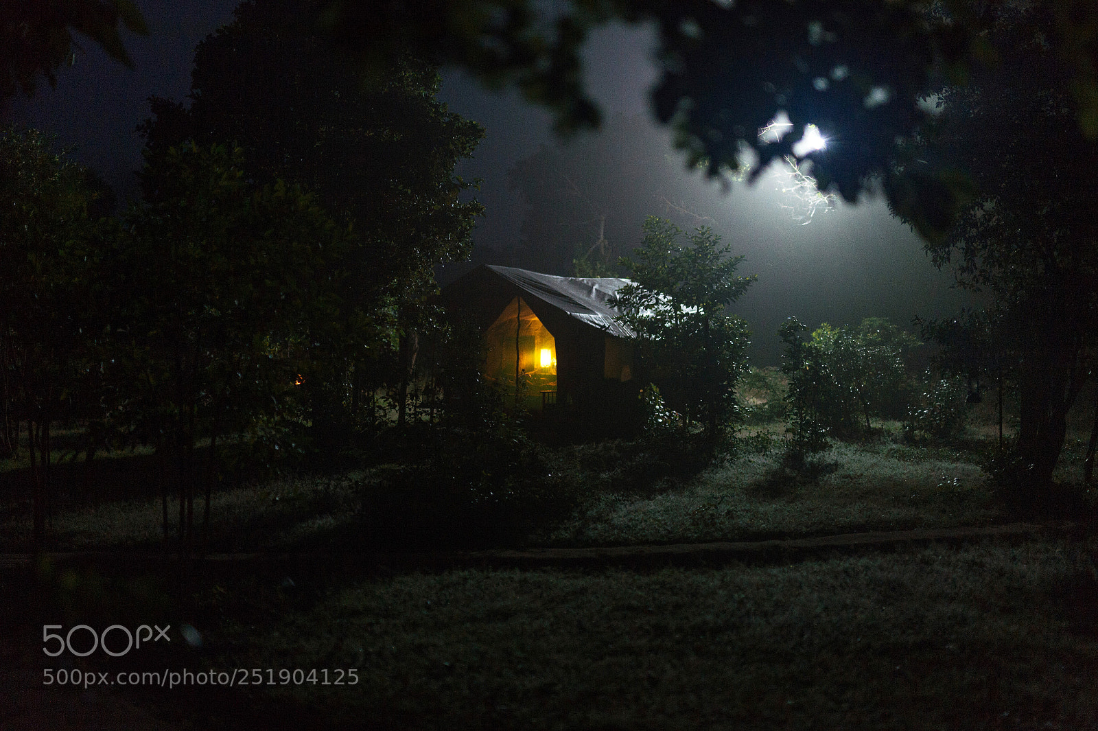 Nikon D4S sample photo. Night tent in the photography