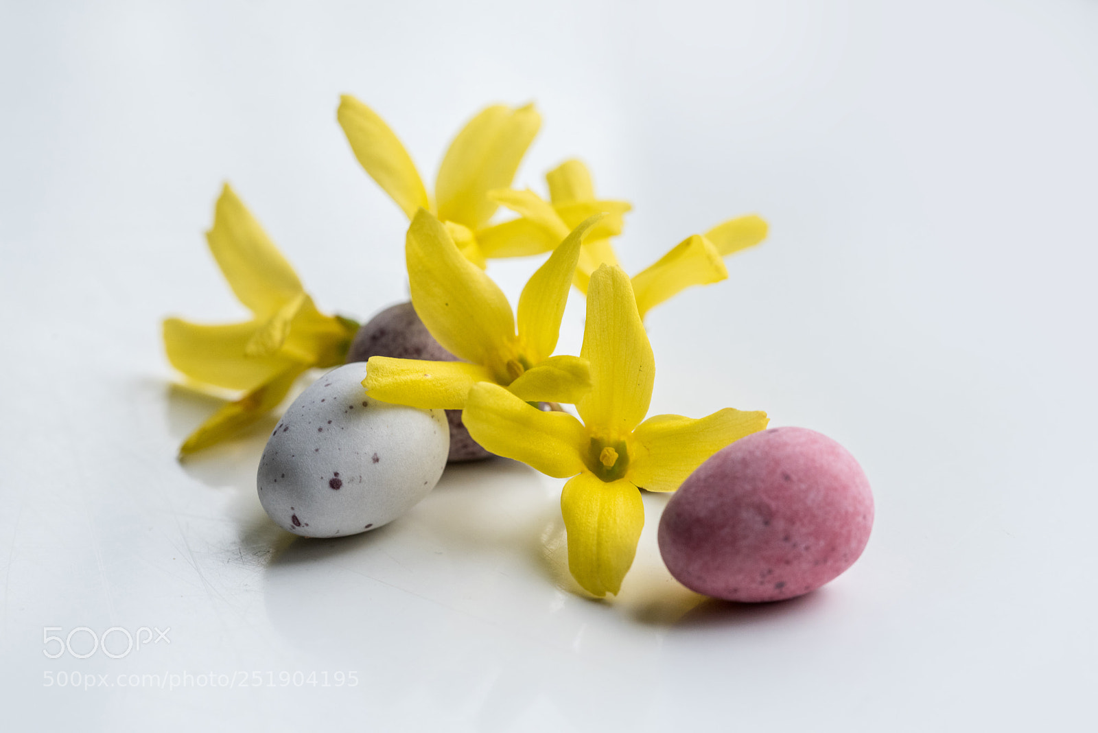 Nikon D810 sample photo. Easter photography
