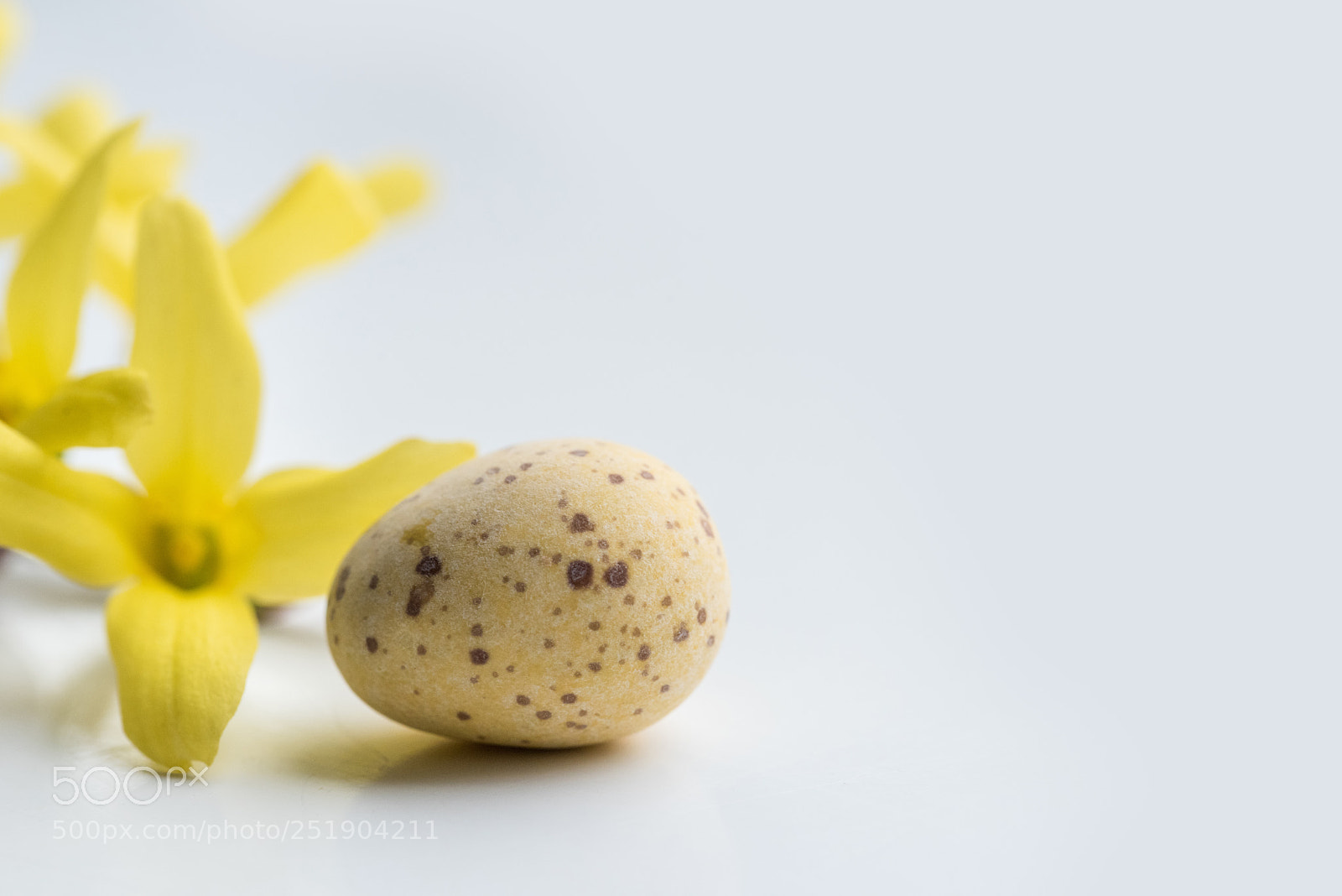 Nikon D810 sample photo. Easter photography
