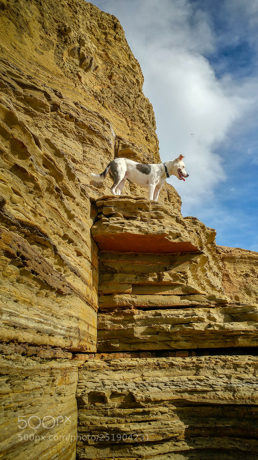 LG G5 sample photo. Sunset cliffs natural park photography