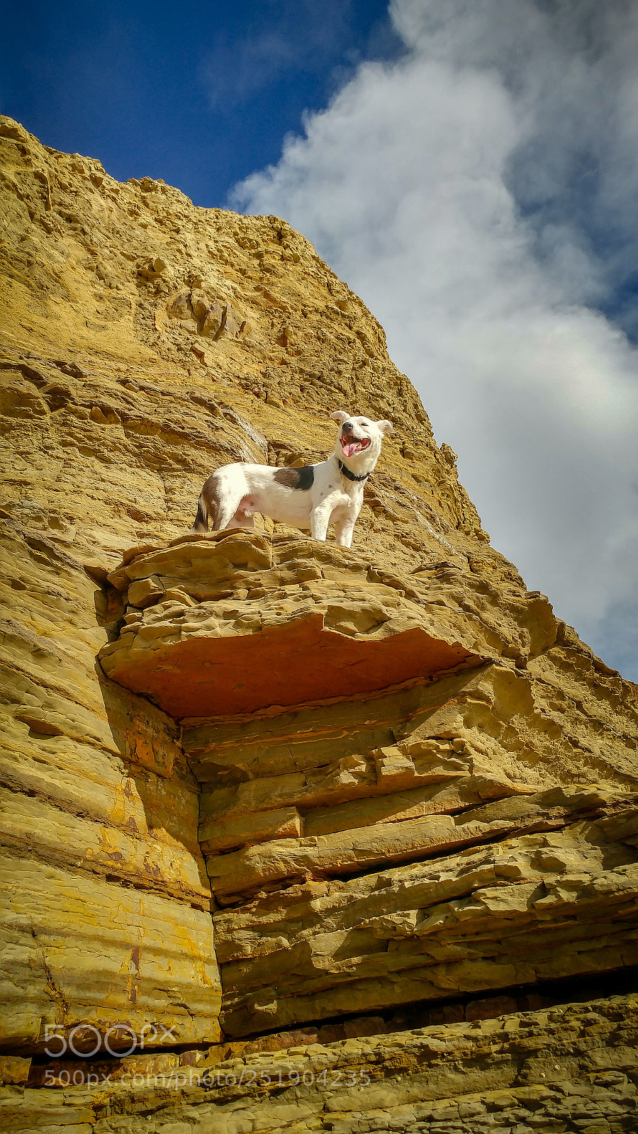 LG G5 sample photo. Sunset cliffs natural park photography