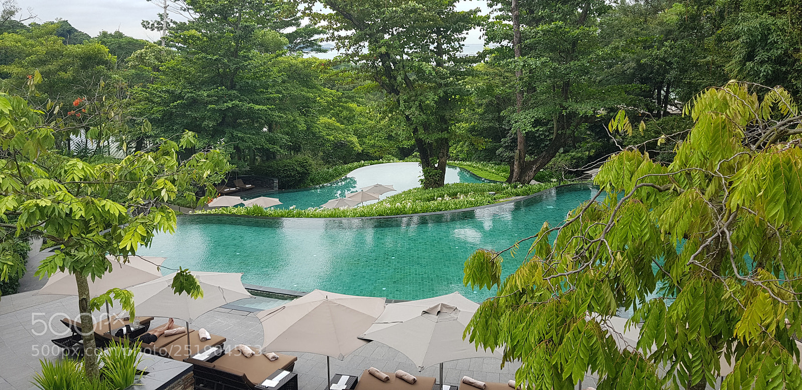 Samsung Galaxy S8+ sample photo. The pool @ the capella photography