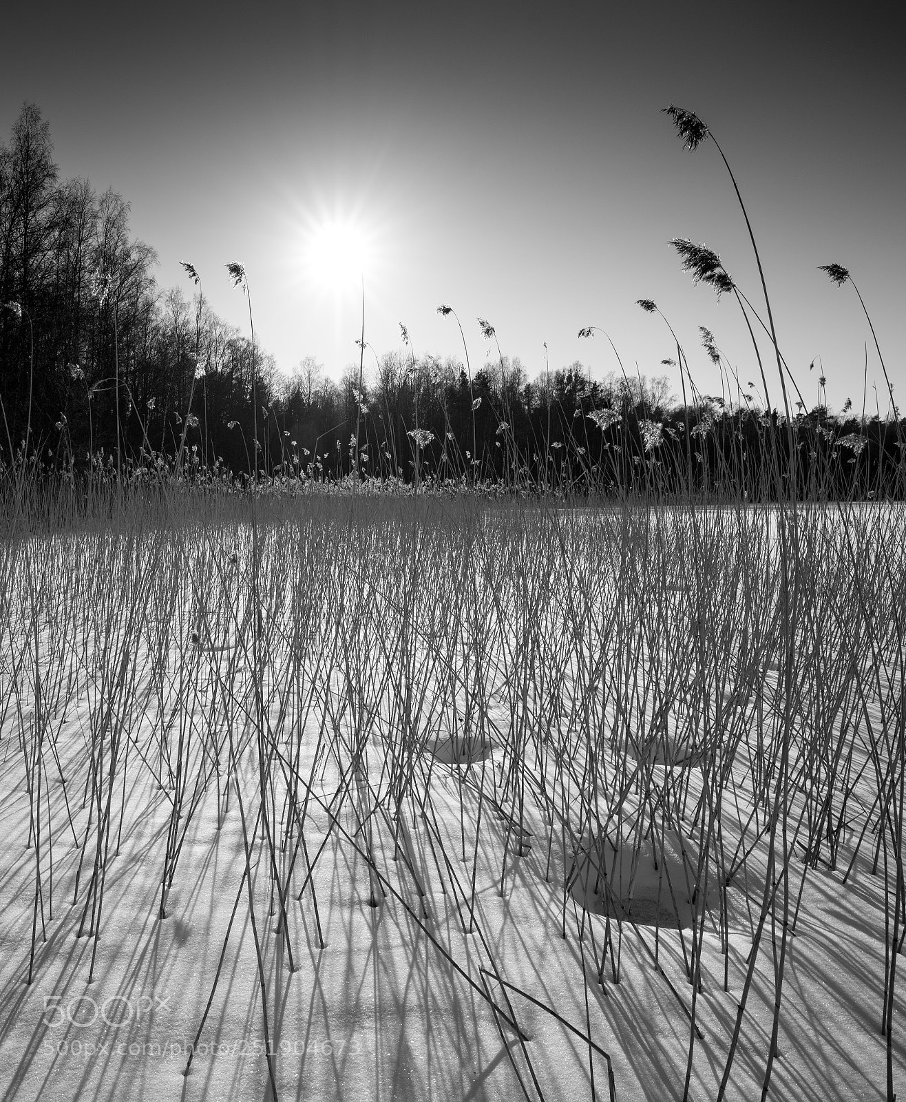 Sony a7R III sample photo. Dsc photography