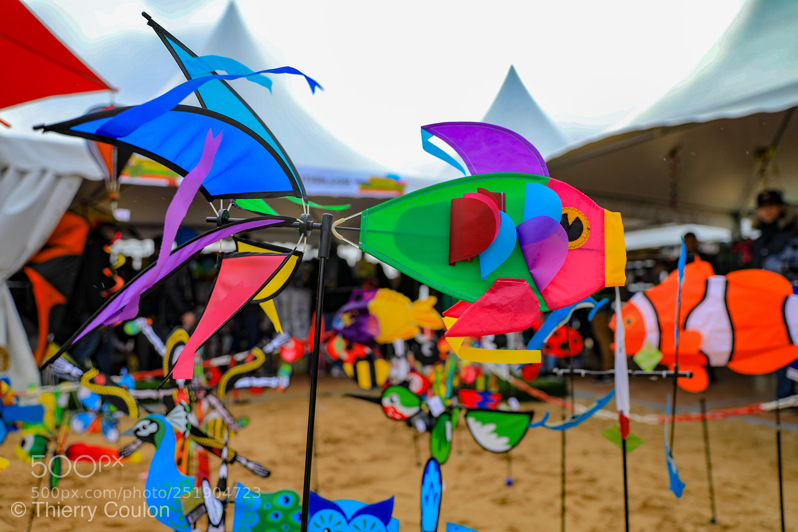 Canon EOS 5D Mark IV sample photo. Festival de cerf-volant  photography