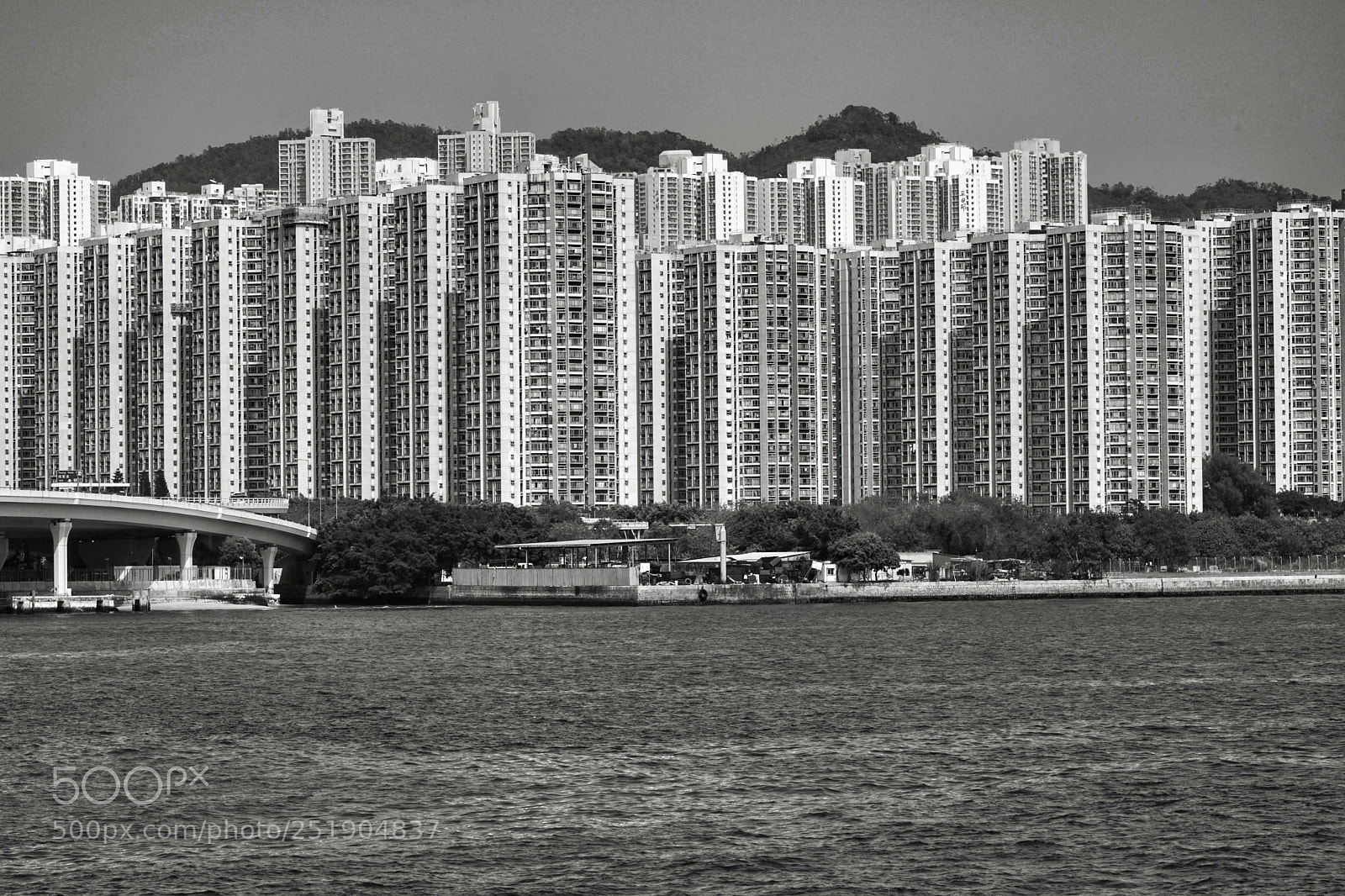 Sony a7R II sample photo. Untitled photography