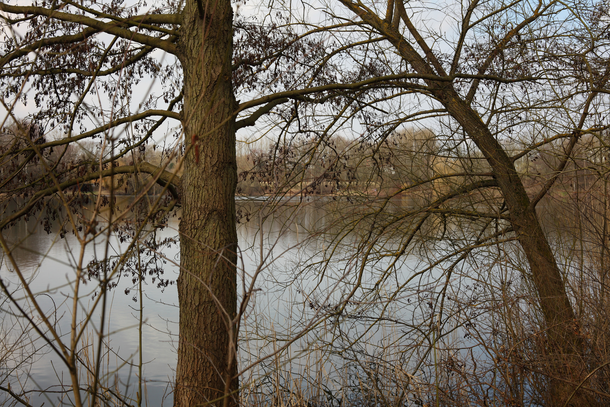 Canon EF 28-80mm f/3.5-5.6 sample photo. View of lake photography
