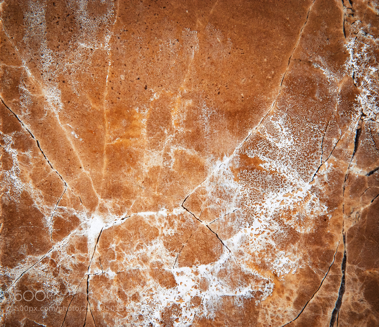 Nikon D5500 sample photo. Detail crack on red photography
