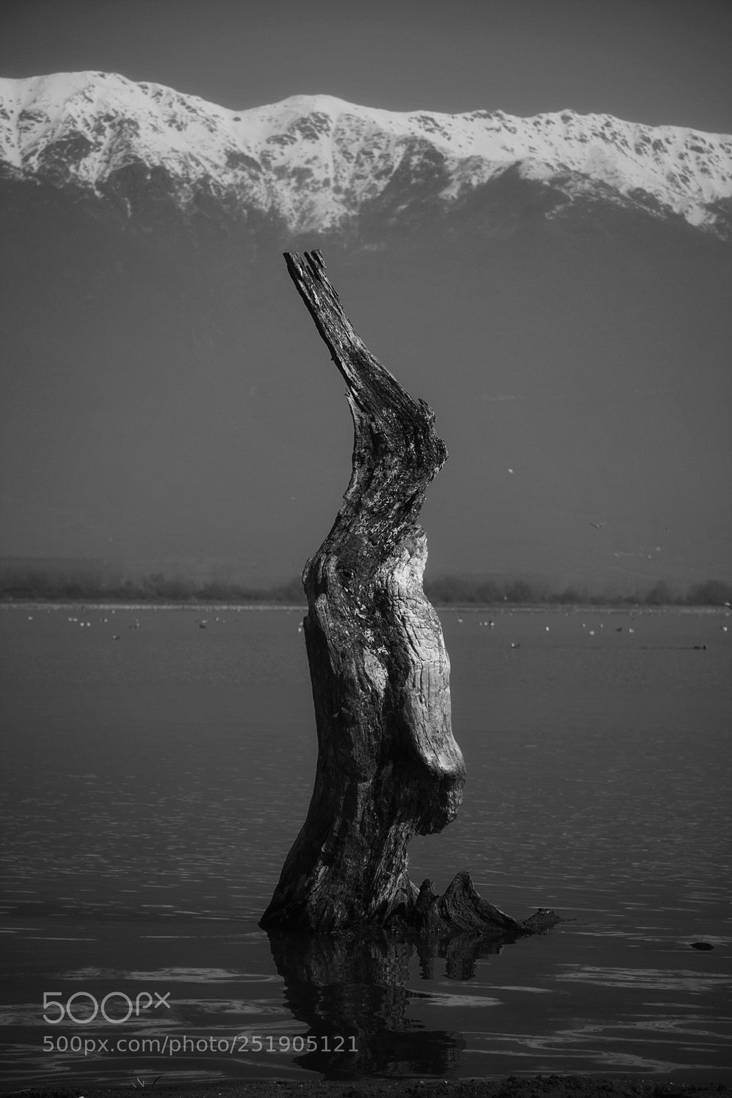 Canon EOS 40D sample photo. Untitled photography