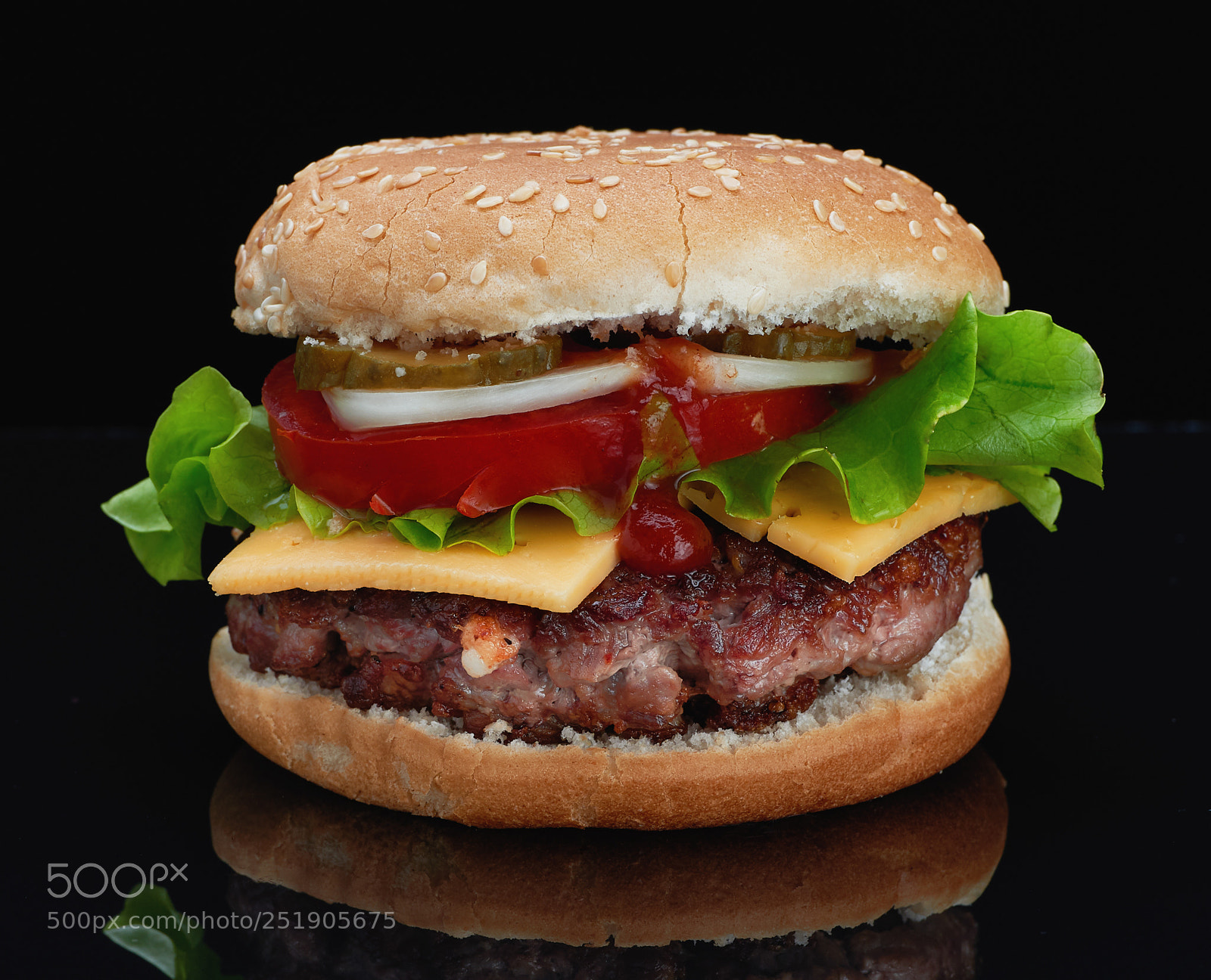 Nikon D800 sample photo. Appetizing hamburger with beef photography