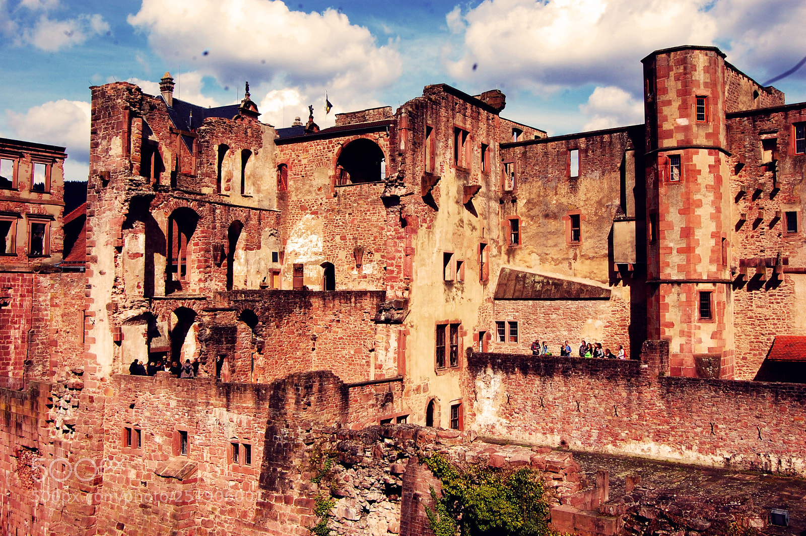 Nikon D40 sample photo. Heidelberg ruins photography