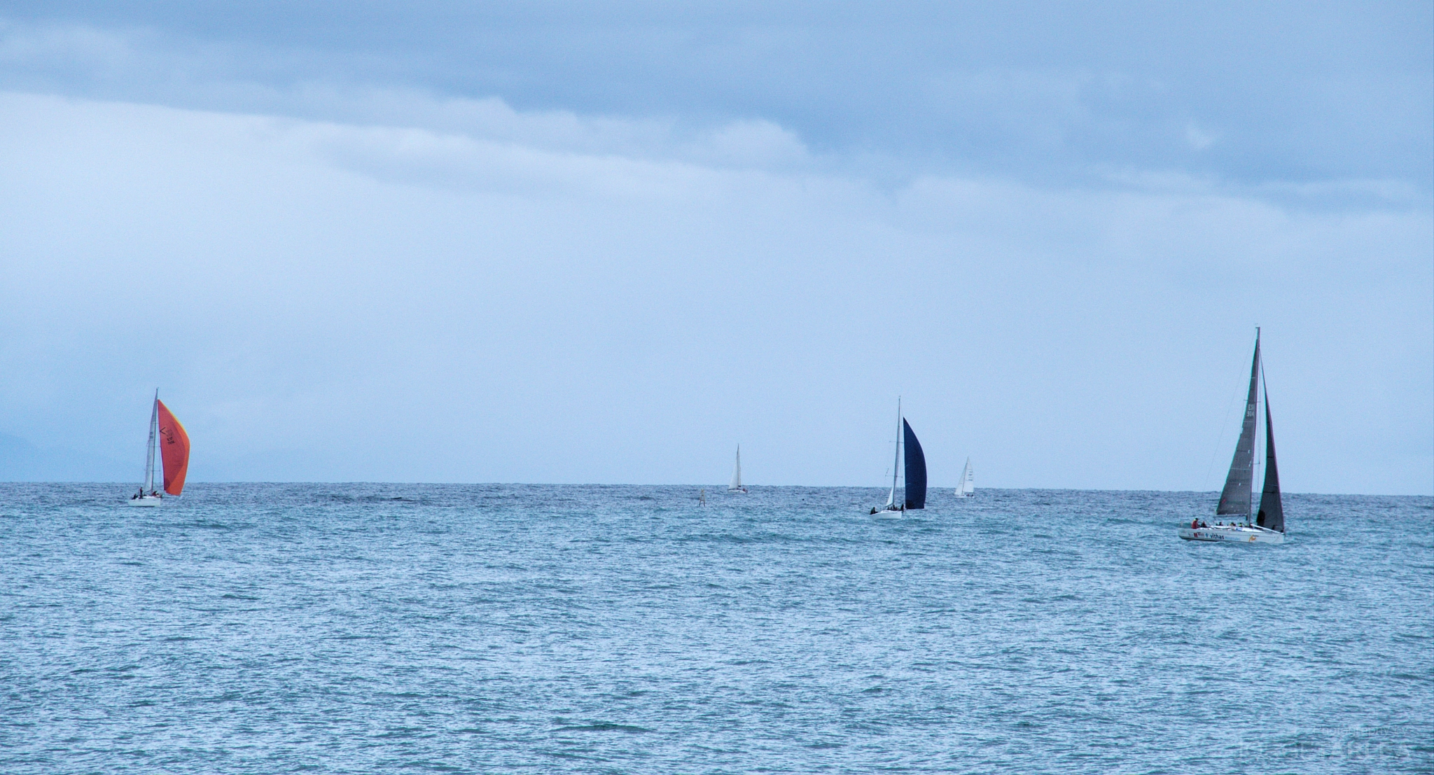 Olympus STYLUS1,1s sample photo. Coloured sharks photography