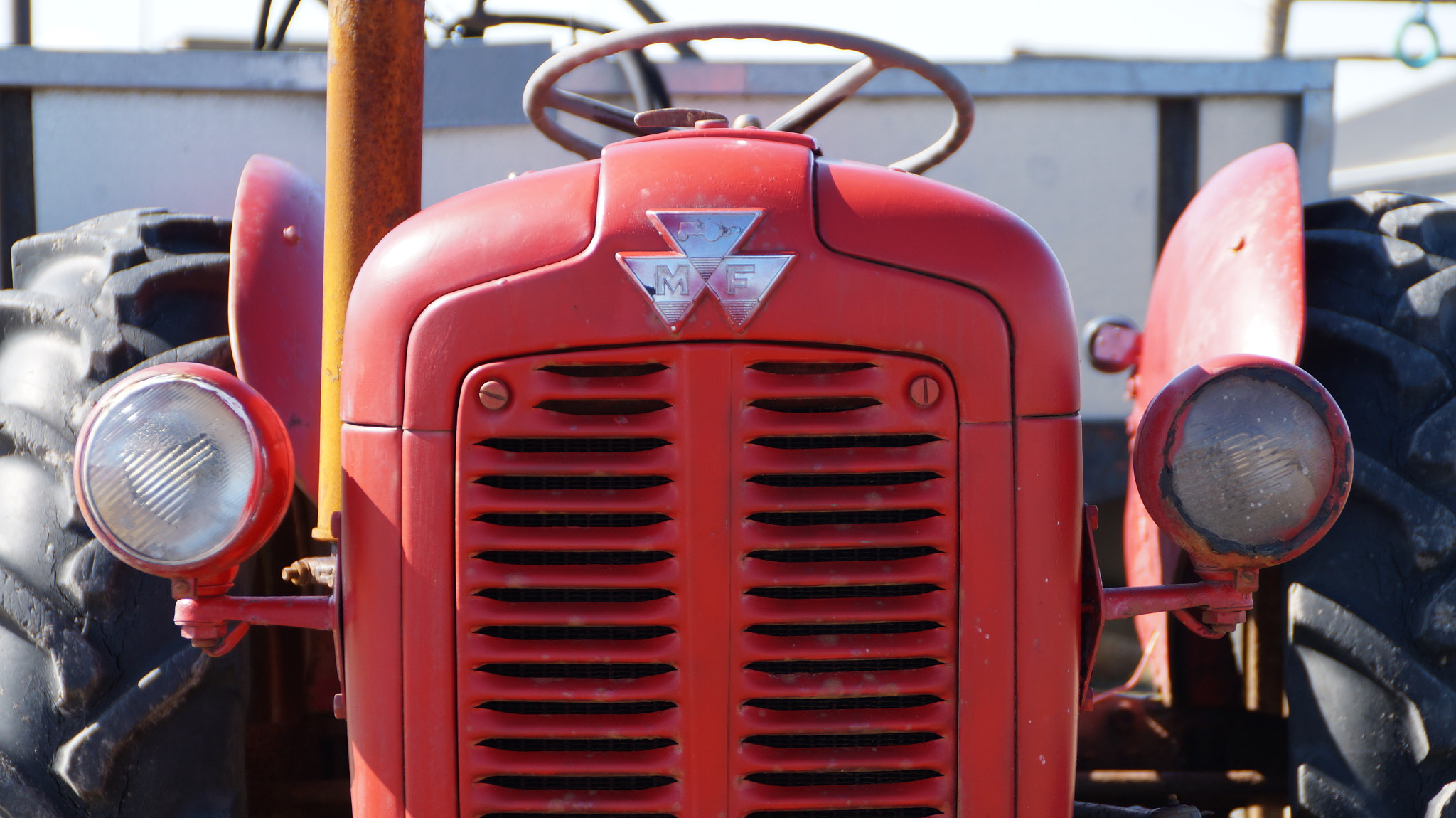 Sony DT 18-200mm F3.5-6.3 sample photo. Always popular photography