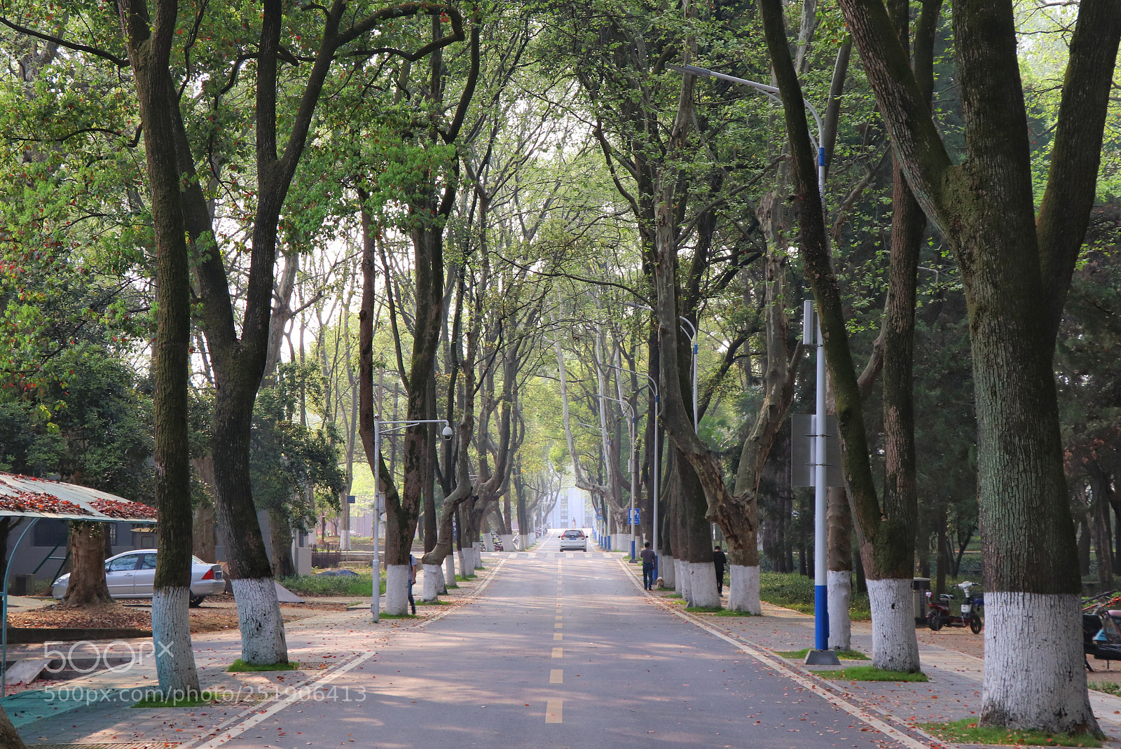 Canon EOS 77D (EOS 9000D / EOS 770D) sample photo. Untitled photography