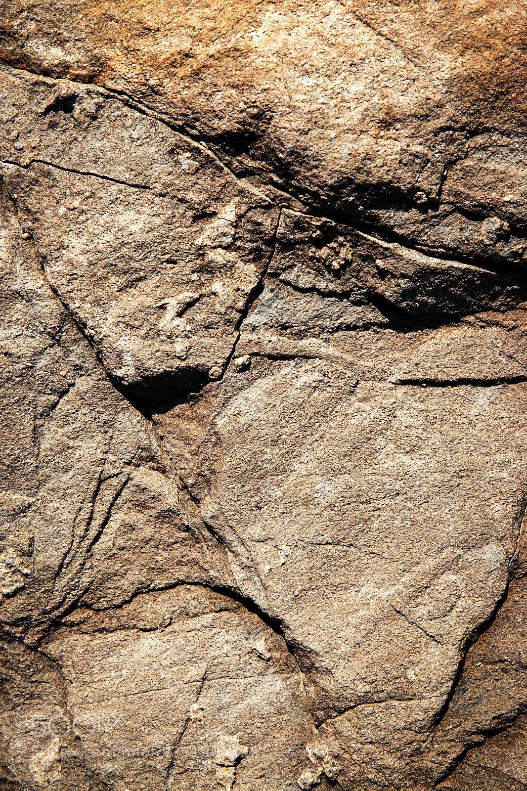Nikon D5500 sample photo. Detail crack in sandstone photography