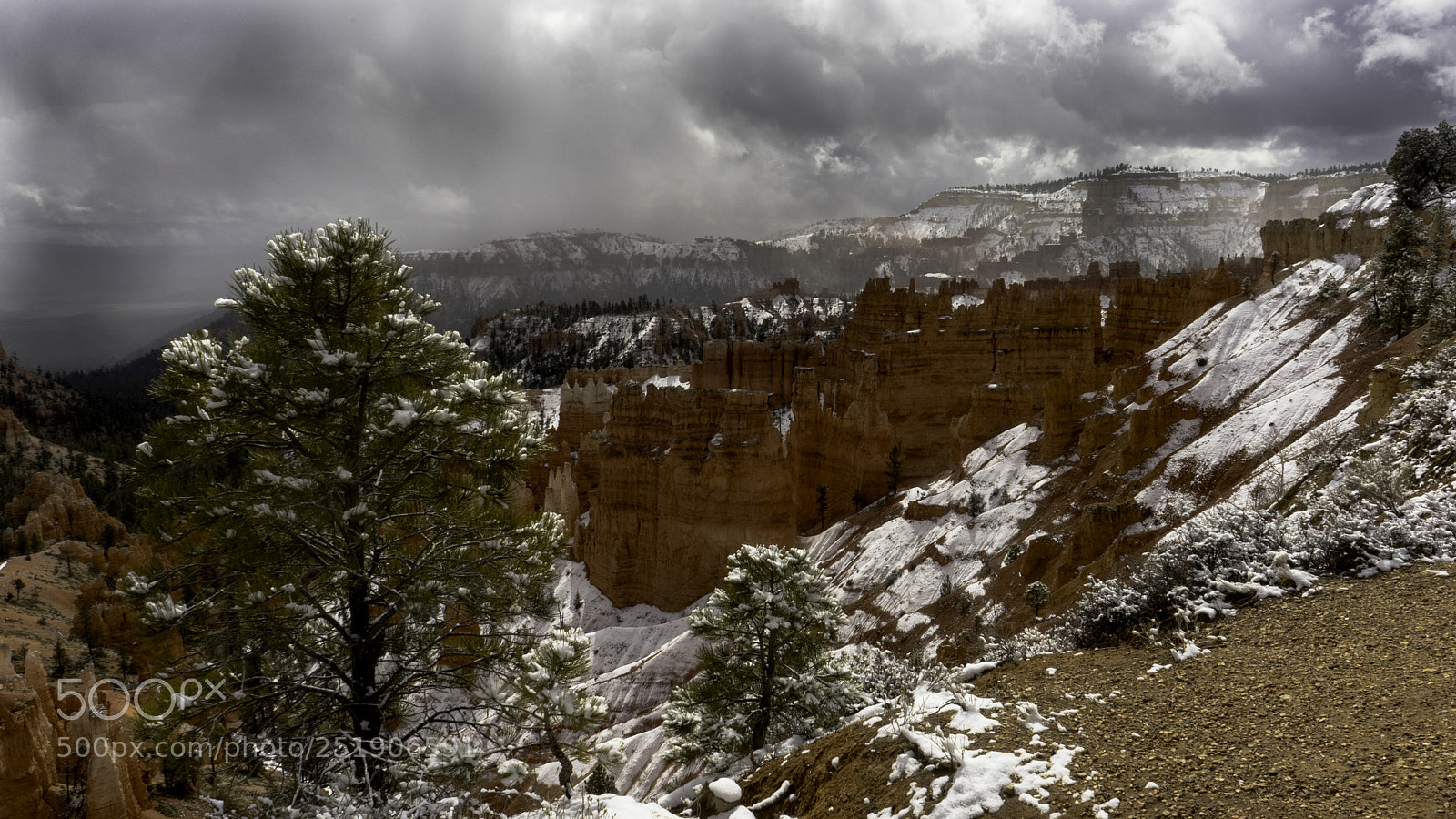 Sony a7 sample photo. Bryce in the snow photography